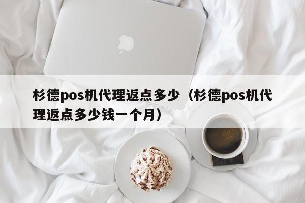杉德pos机代理返点多少（杉德pos机代理返点多少钱一个月）