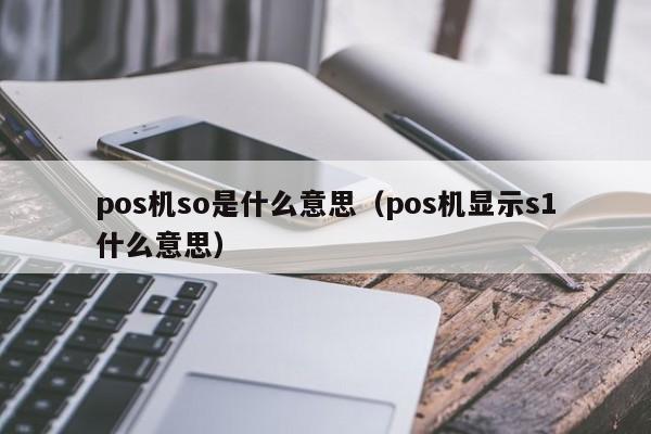 pos机so是什么意思（pos机显示s1什么意思）