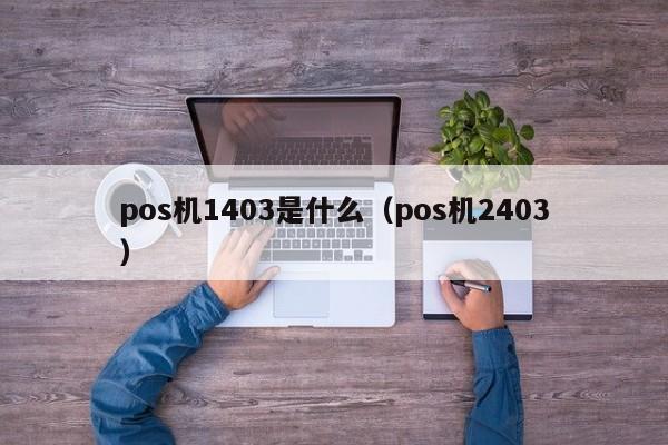 pos机1403是什么（pos机2403）