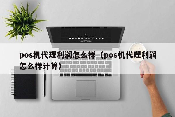 pos机代理利润怎么样（pos机代理利润怎么样计算）