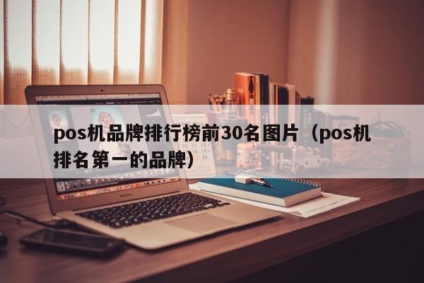 pos机品牌排行榜前30名图片（pos机排名第一的品牌）