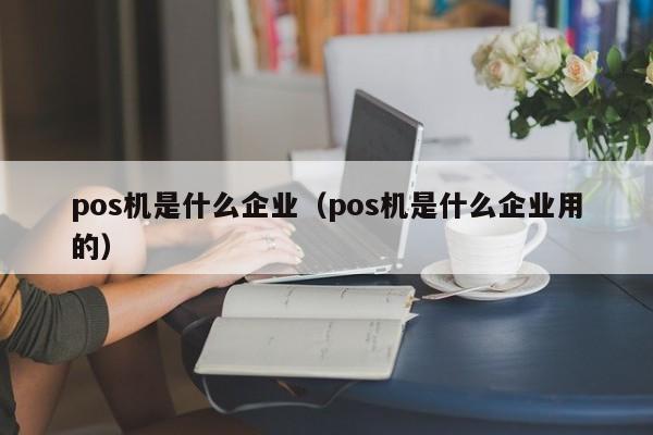 pos机是什么企业（pos机是什么企业用的）