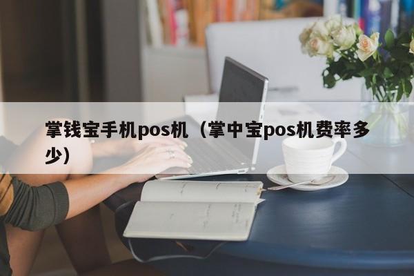 掌钱宝手机pos机（掌中宝pos机费率多少）