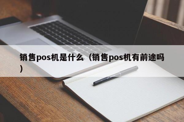 销售pos机是什么（销售pos机有前途吗）