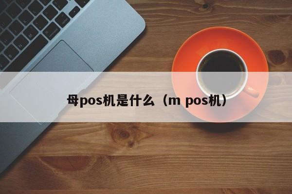 母pos机是什么（m pos机）