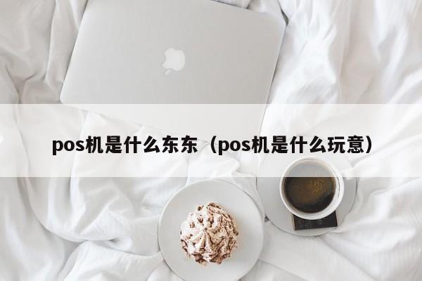 pos机是什么东东（pos机是什么玩意）