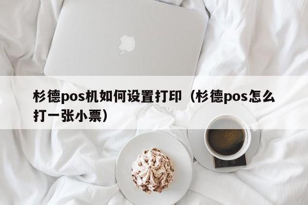 杉德pos机如何设置打印（杉德pos怎么打一张小票）
