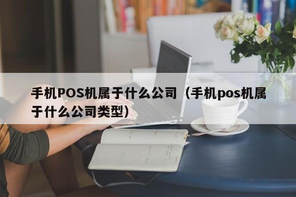 手机POS机属于什么公司（手机pos机属于什么公司类型）