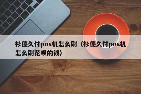 杉德久付pos机怎么刷（杉德久付pos机怎么刷花呗的钱）